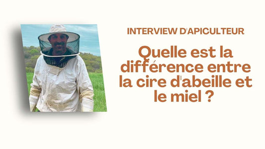 Quelle est la différence entre la cire d'abeille et le miel ? Interview d'apiculteur
