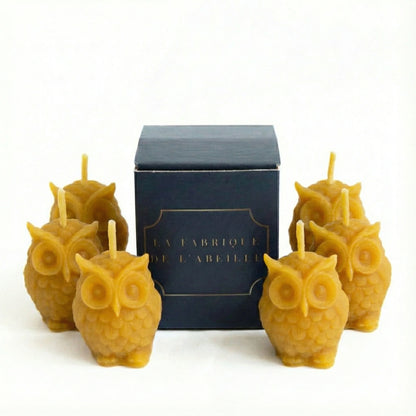 Lot de 6 bougies hiboux en cire d'abeille pure - La Fabrique de l'Abeille