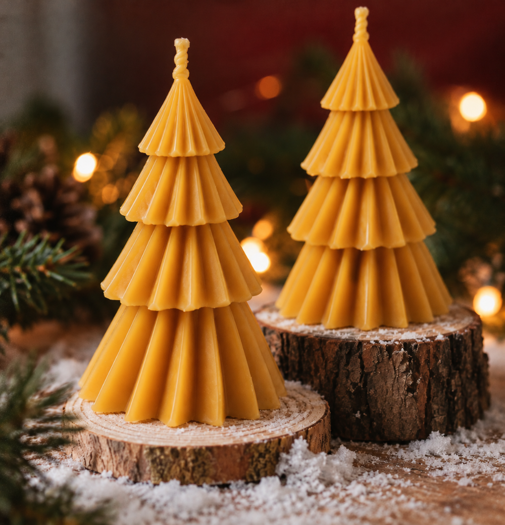 Bougies sapin en cire d’abeille